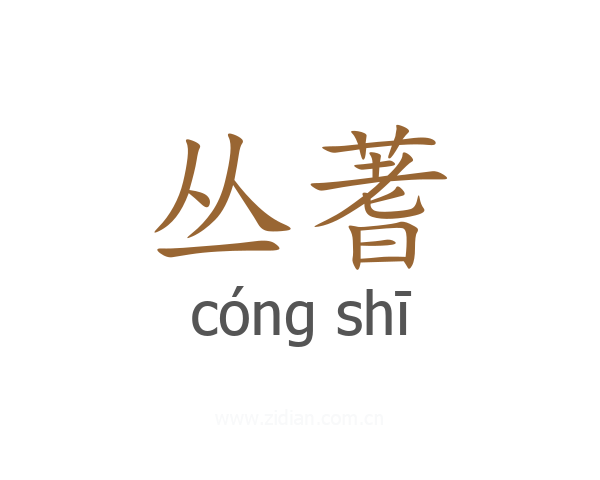 丛蓍