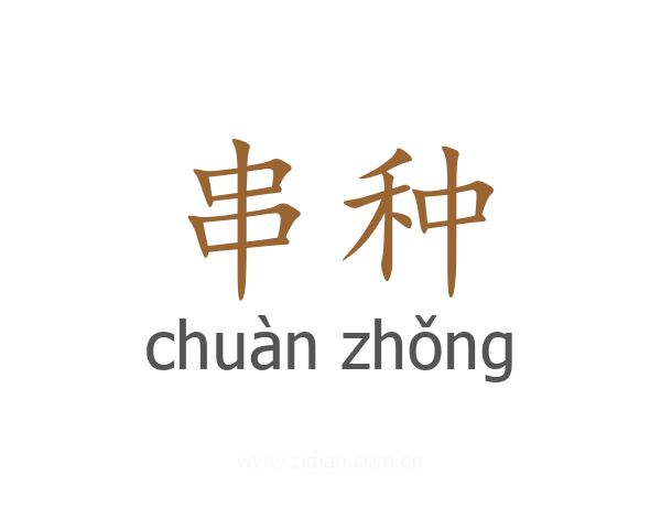 串种