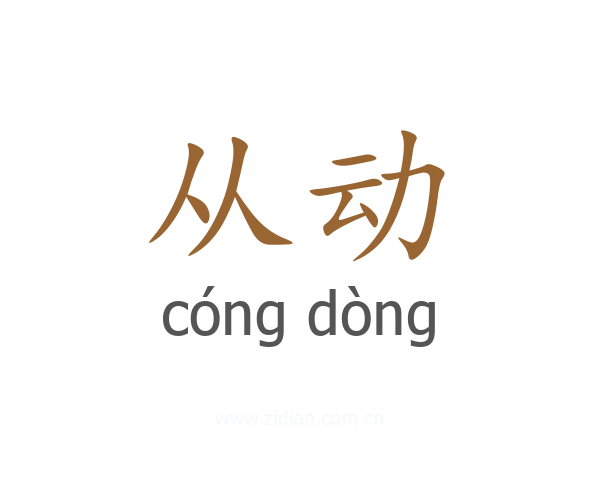 从动