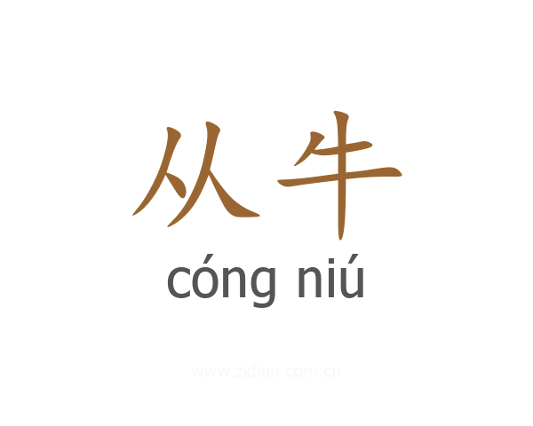 从牛