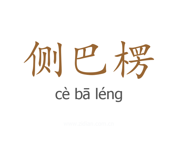 侧巴楞