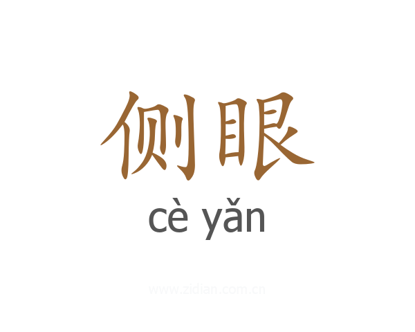 侧眼
