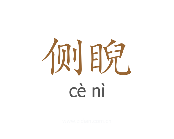 侧睨