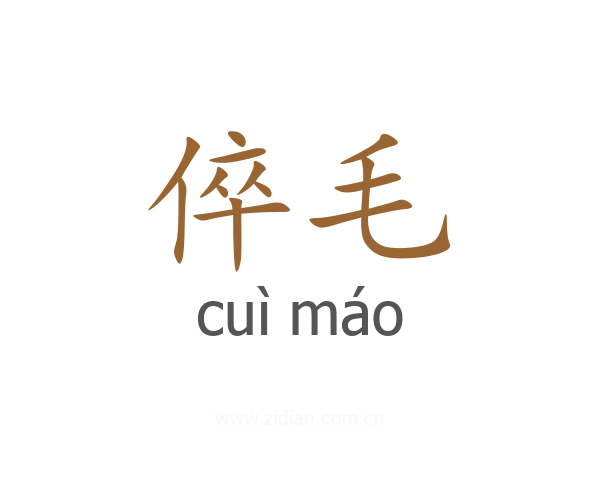 倅毛