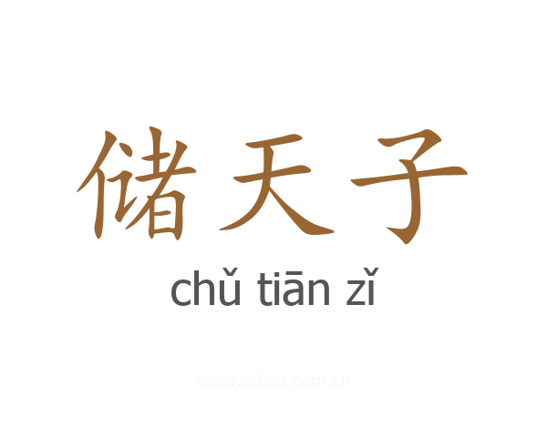 储天子
