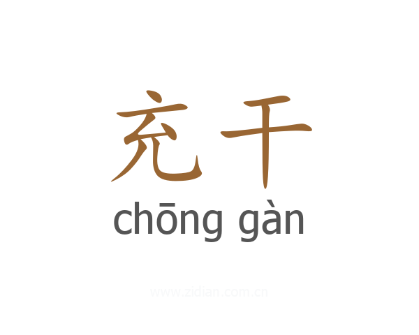 充干