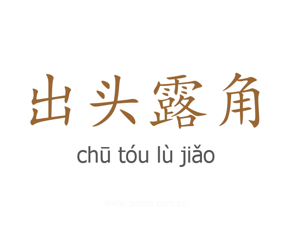 出头露角