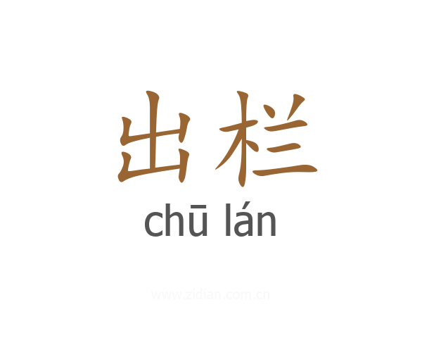 出栏