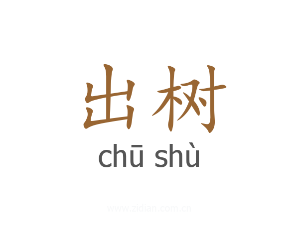 出树