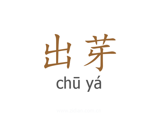 出芽
