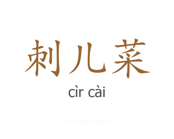 刺儿菜