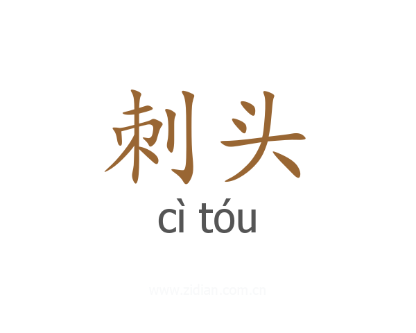 刺头