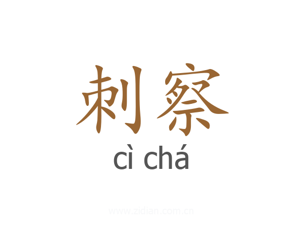 刺察