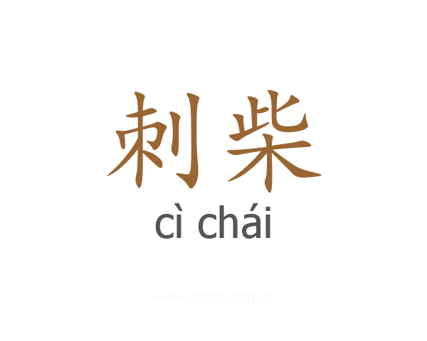 刺柴