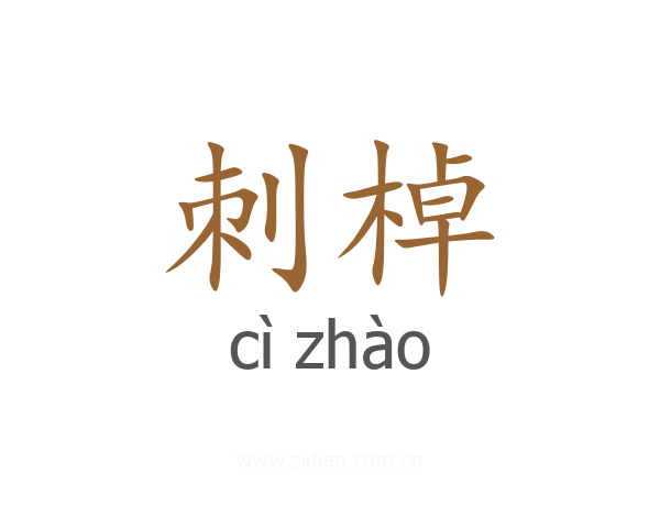 刺棹