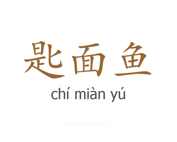 匙面鱼