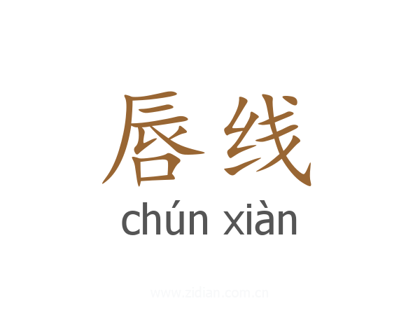 唇线