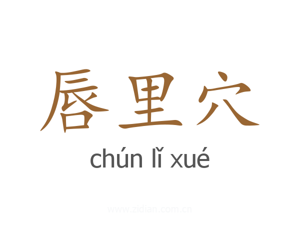 唇里穴
