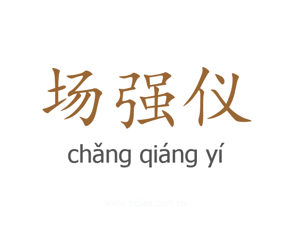 场强仪
