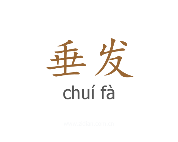 垂发