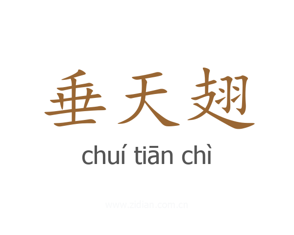 垂天翅