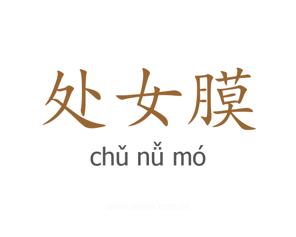 处女膜