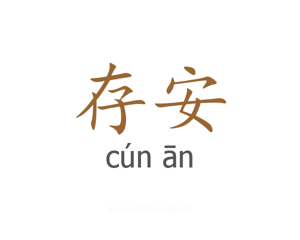 存安