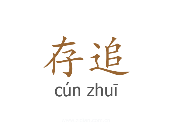 存追