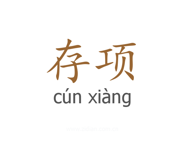 存项