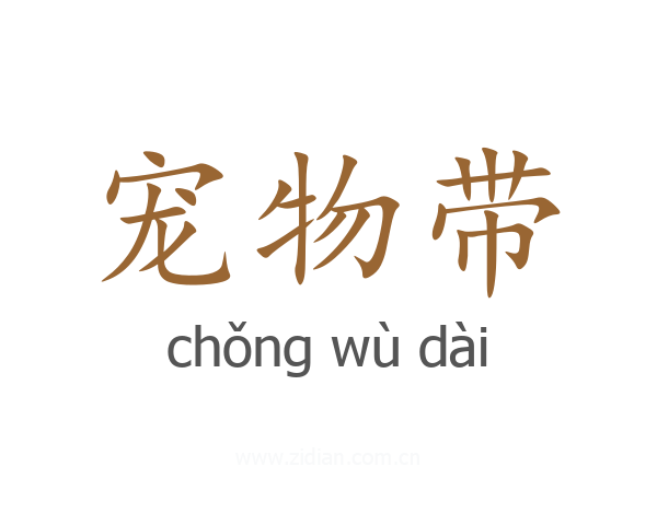 宠物带