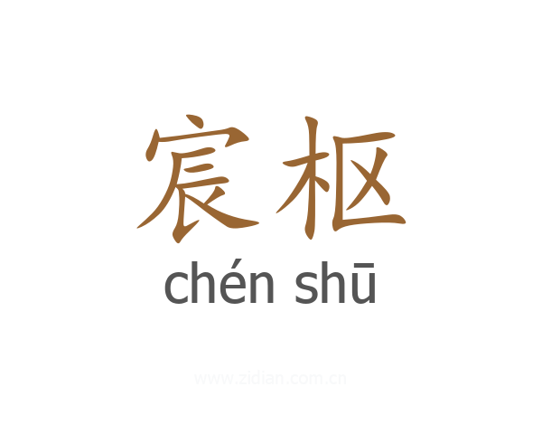宸枢