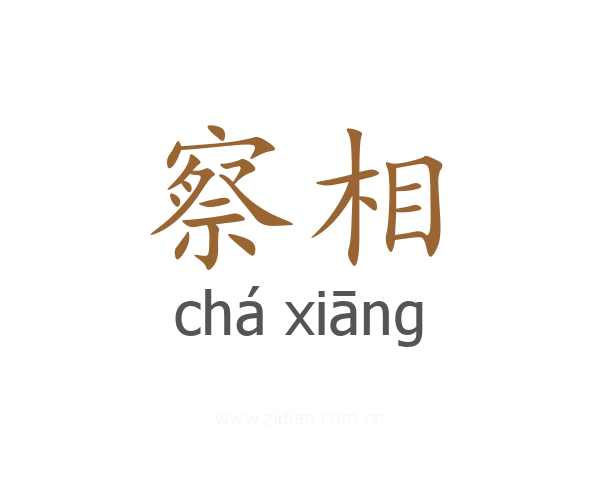 察相