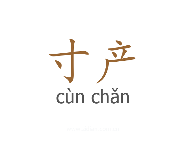 寸产