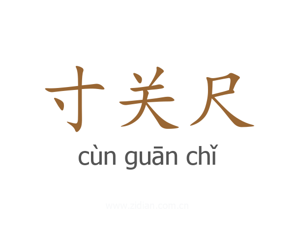 寸关尺