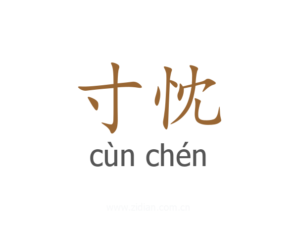 寸忱
