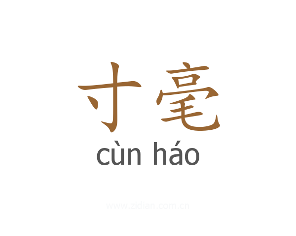 寸毫