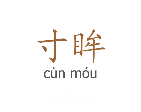 寸眸