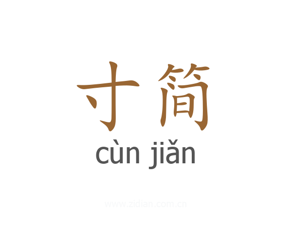 寸简