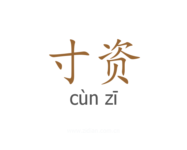 寸资