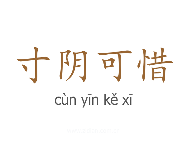 寸阴可惜