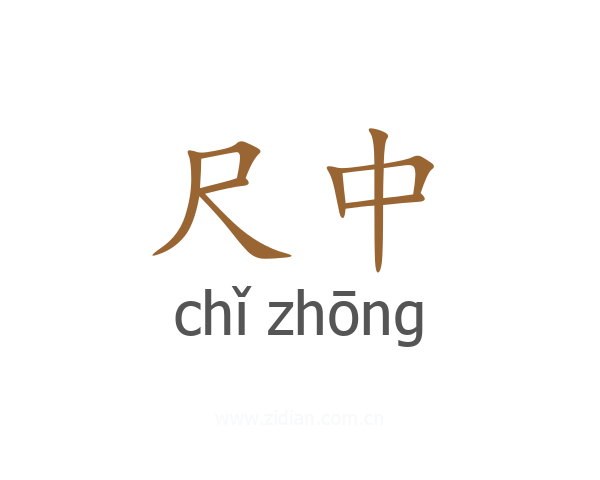 尺中