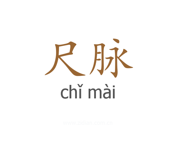 尺脉