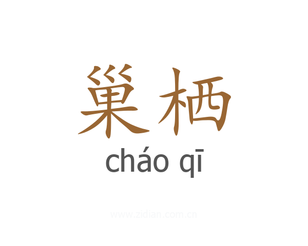 巢栖