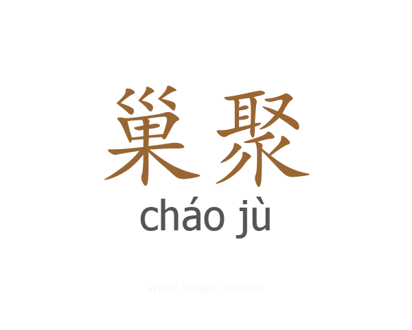 巢聚