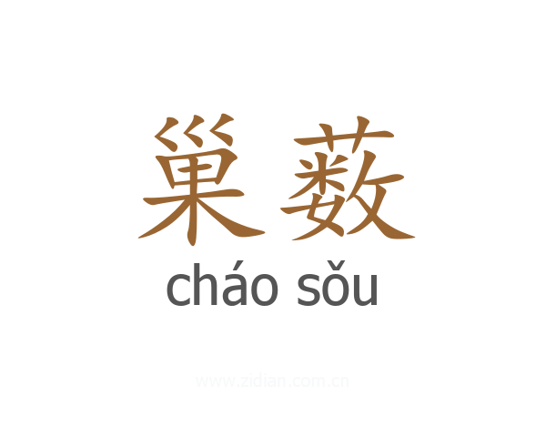 巢薮