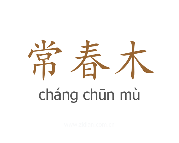 常春木