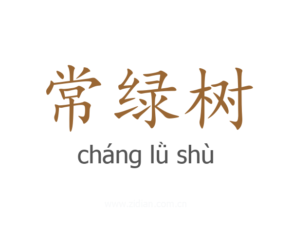 常绿树