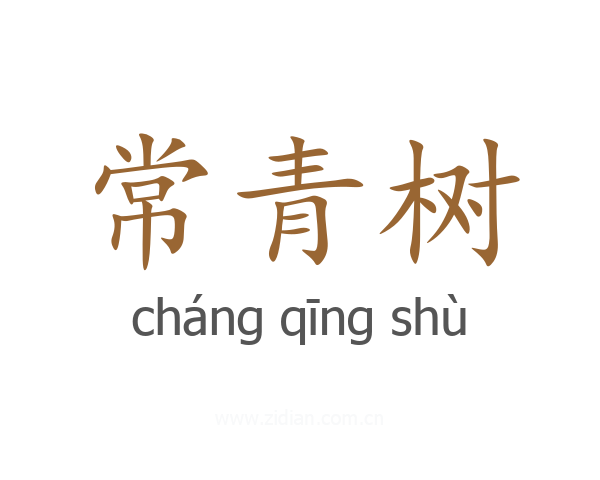 常青树