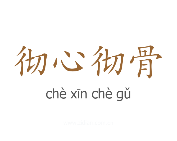 彻心彻骨