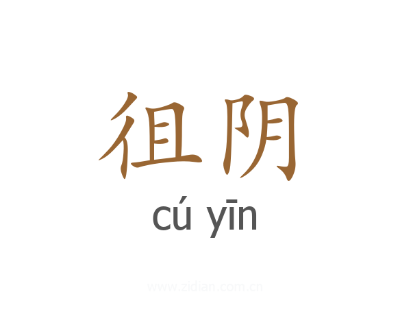 徂阴